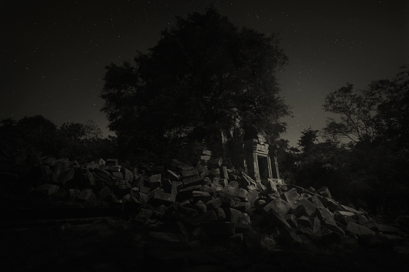 Strangler Fig 1 Beng Mealea Temple